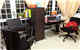 Study Area